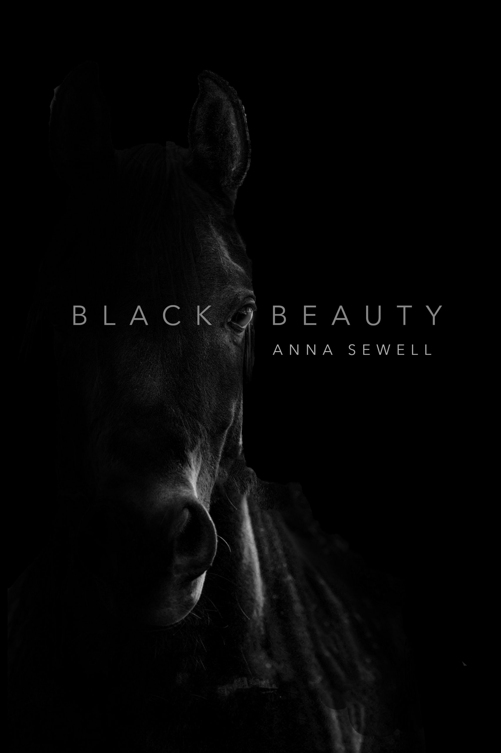 Black-BeautyIG